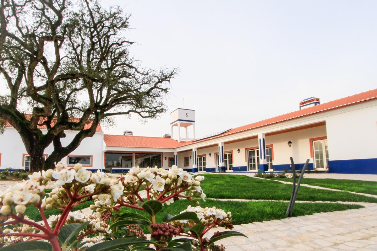 Quinta Da Torre - Casas De Campo Bed & Breakfast Alenquer Dış mekan fotoğraf